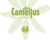 img-camellus-decor.png